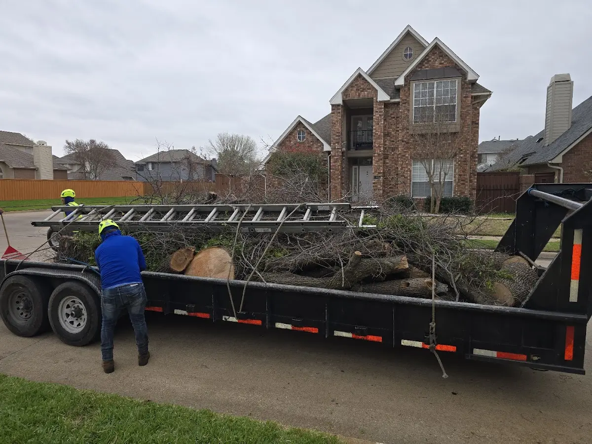 Expert Tree Removal with proper safety equipment in Wynnewood